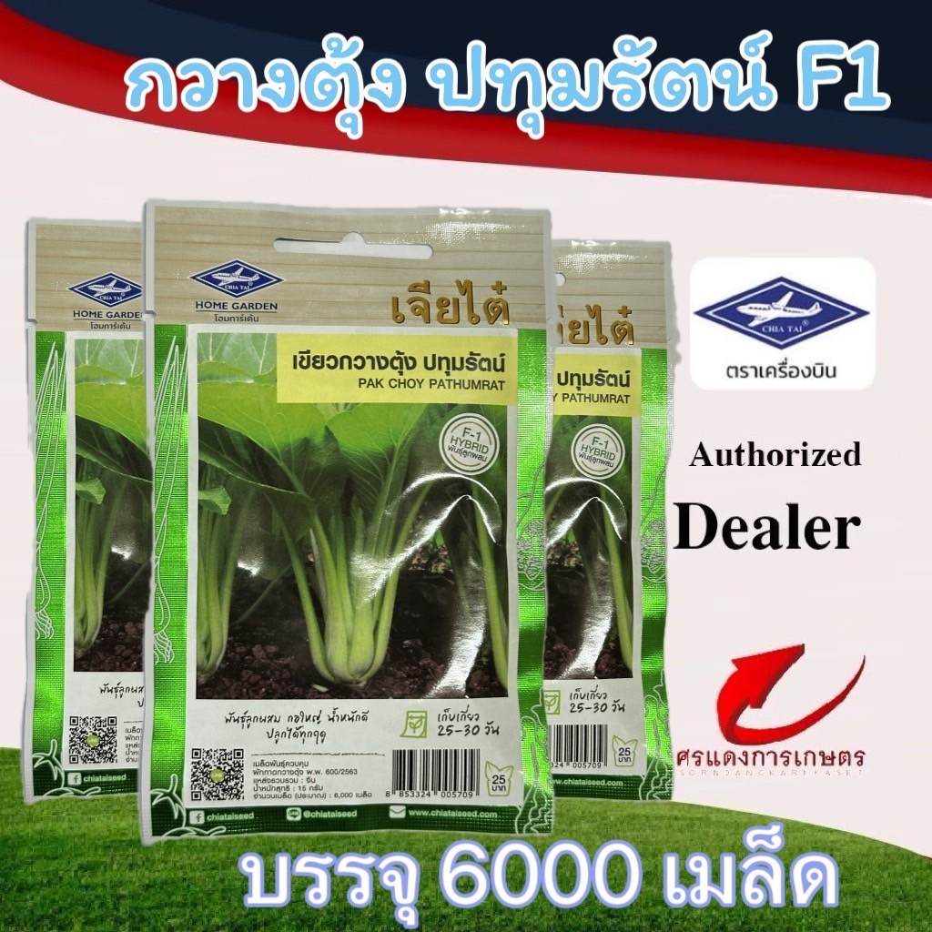 ผักซองเจียไต๋กวางตุ้งปทุมรัตน์
