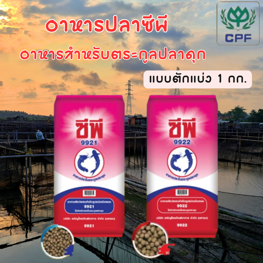 ซีพี อาหารปลาดุก 9921, 9922 ขนาด 1 กก.