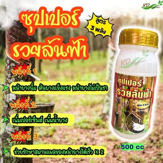 ยาทาหน้ายาง รวยล้นฟ้า สูตร 3 พลัง หน้ายางกรีดง่าย หน้ายางไม่เกิดรา น้ำยางออกเต็มหน้า ใช้น้อยออกฤทธิ์ยาวนาน