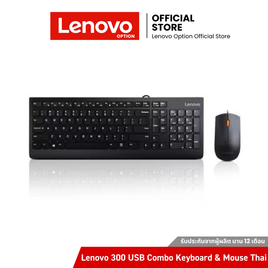 Lenovo 300 USB Combo Keyboard & Mouse - Thailand (191) (GX30M39641)