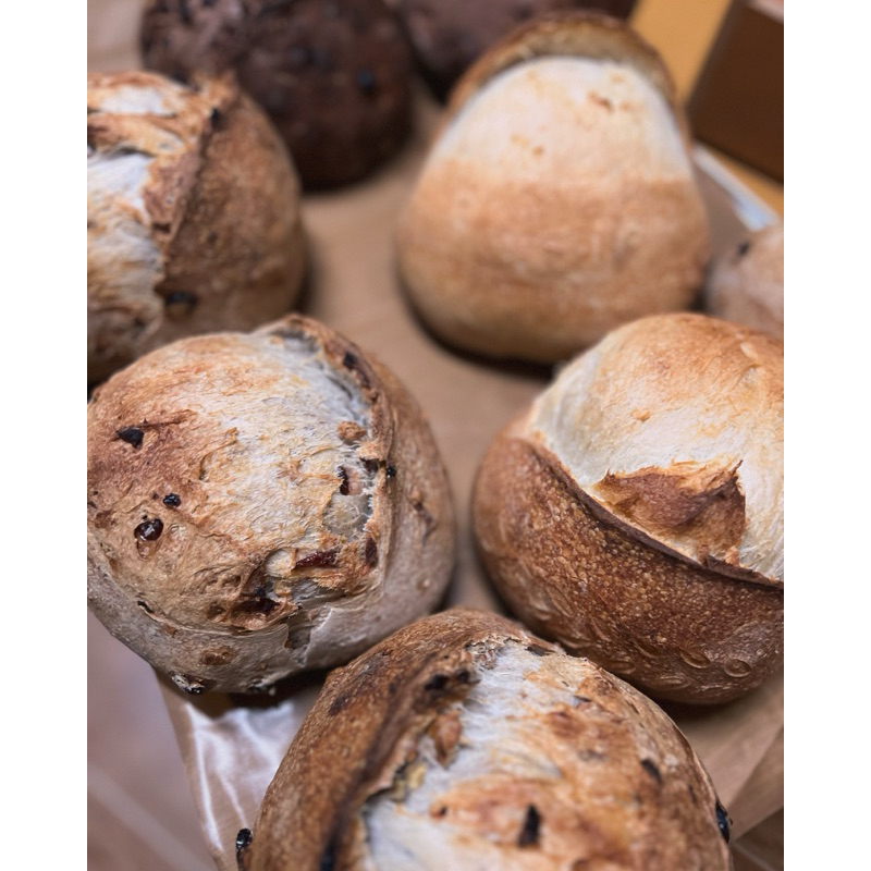 cranberry walnuts SD