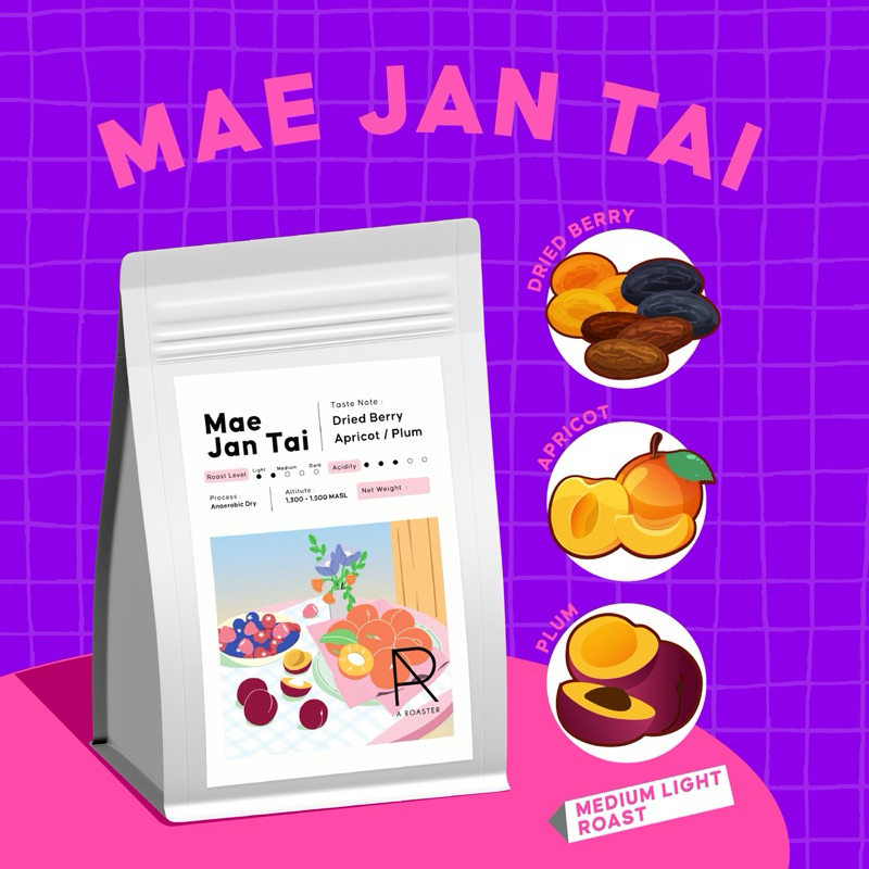 Mae Jan Tai เมล็ดกาแฟแม่จันใต้ คั่วกลางอ่อน A ROASTER