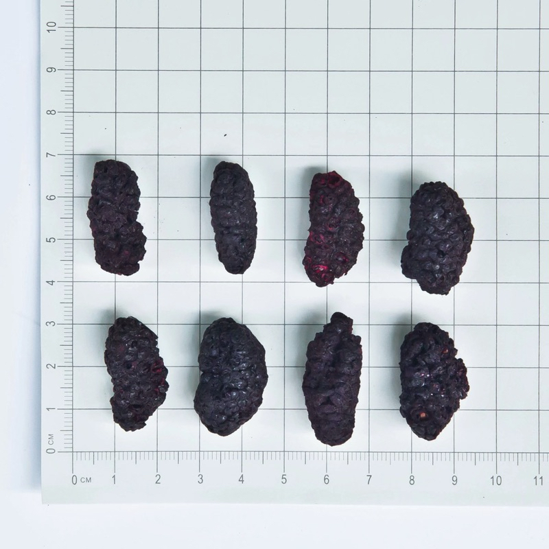 Freeze Dried Mulberry 20g มัลเบอร์รี่ฟรีซดราย ขนมนก ผสมกับอาหาร นกกัดง่าย โดยเฉพาะนกขนาดเล็ก ขนมนกแก้ว อาหารนก