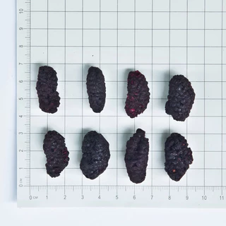 Freeze Dried Mulberry 20g มัลเบอร์รี่ฟรีซดราย ขนมนก ผสมกับอาหาร นกกัดง่าย โดยเฉพาะนกขนาดเล็ก ขนมนกแก้ว อาหารนก
