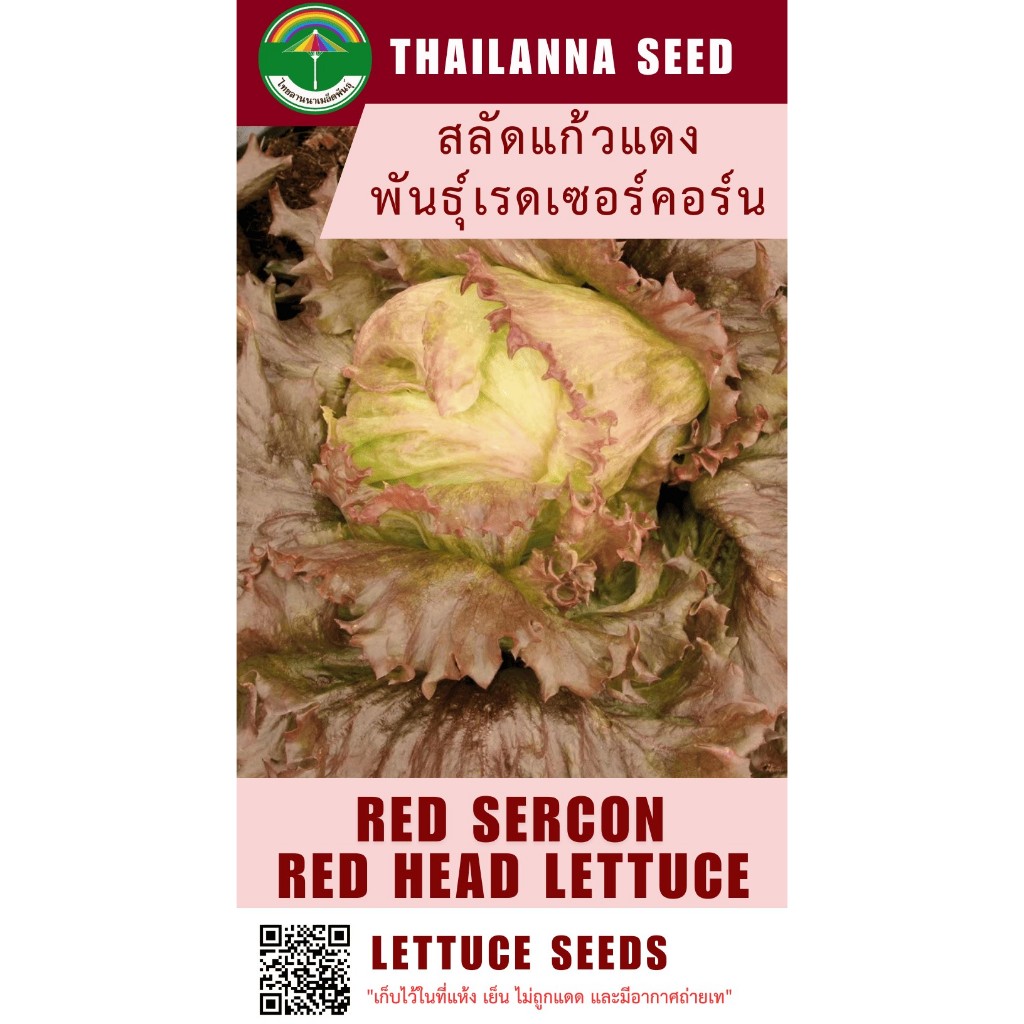 เมล็ดพันธุ์ผักสลัด สลัดแก้วแดง พันธุ์เรดเซอร์คอร์น ( ขนาด 0.25 กรัม ) รหัสสินค้า 3026
