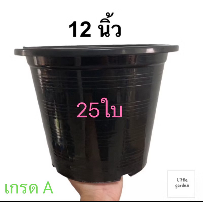 กระถาง กระถางต้นไม้ 12ดำมัด25ใบ