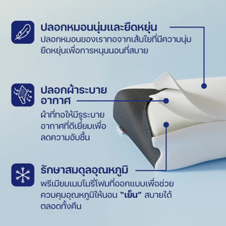 หมอน ErgoLab Deep Sleep หมดปัญหาปวดคอ ไม่ต้องกังวลเรื่องกรน หลับสบายต่อเนื่องตลอดคืน (คืนเงินใน 90 วัน + รับประกัน 1 ปี)