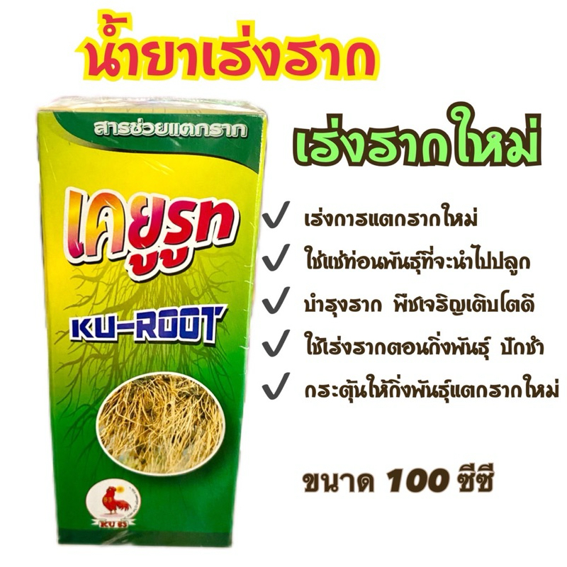 เคยูรูท  ยาเร่งราก ตราไก่แดง ขนาด 100ซีซี