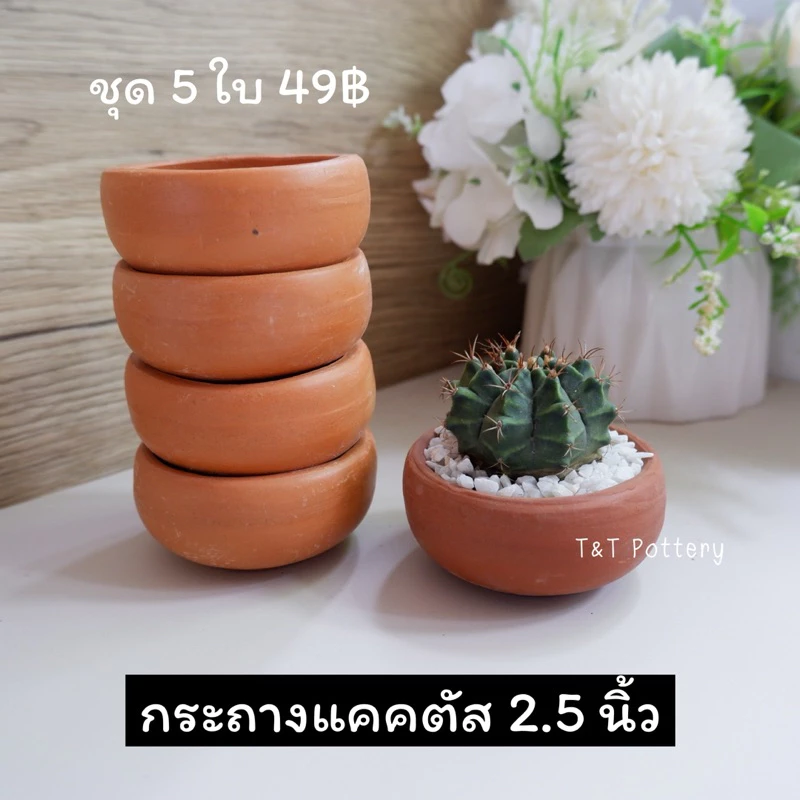 กระถางแคคตัส กระถางต้นไม้ดินเผา 2.5 นิ้ว (5 ใบ 49฿)