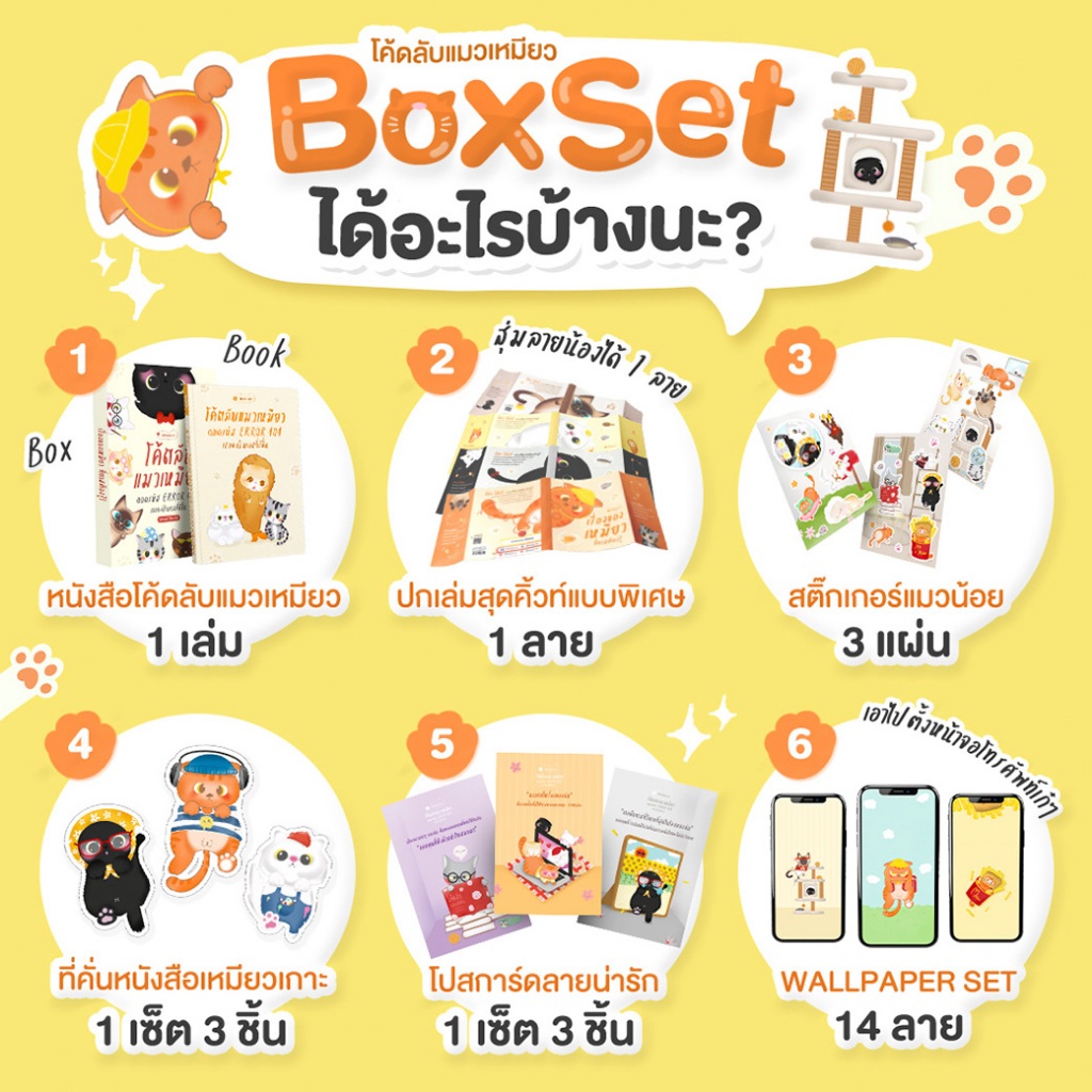 [เพ็ตจนานุกรม] หนังสือ โค้ดลับแมวเหมียว: ถอดรหัส Error 404 เธอจะเป็นทาสที่ดีขึ้น | หนังสือแมว