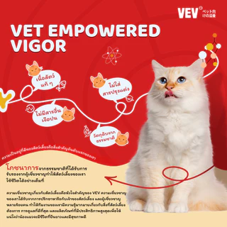 [12 ซอง] VEVอาหารแมวโภชนาการระดับไฮเอนด์นำเข้าจากญี่ปุ่น รสทูน่า ไก่ ปลาแซลมอน และหอยเชลล อาหารเปียกแมว อาหารแมวสูงวัย