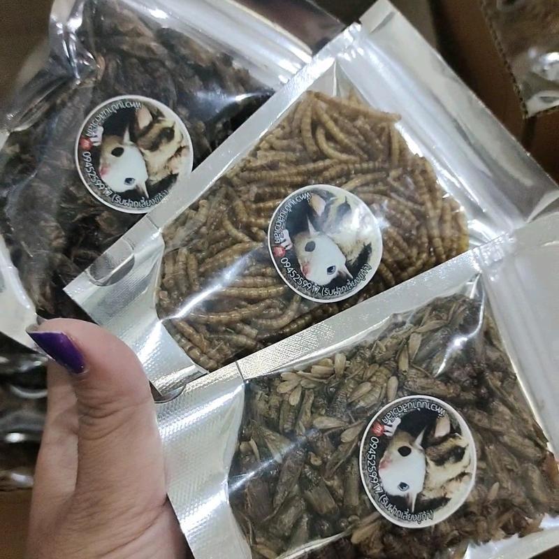 เซ็ตแมลงอบแห้ง 3ห่อ หนอนนก สะดิ้ง จิ้งหรีด - รูปที่ 2