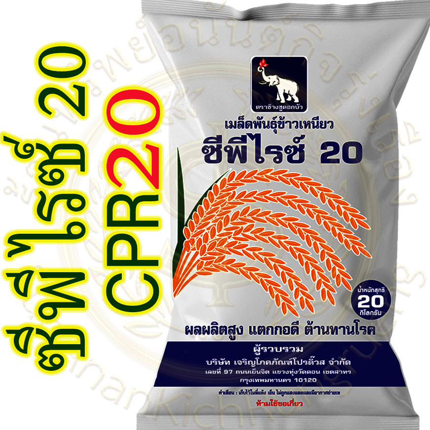 เมล็ดพันธุ์ข้าว CP20 ข้าวเหนียว ชีพีไรซ์ 20 ( CPR20)