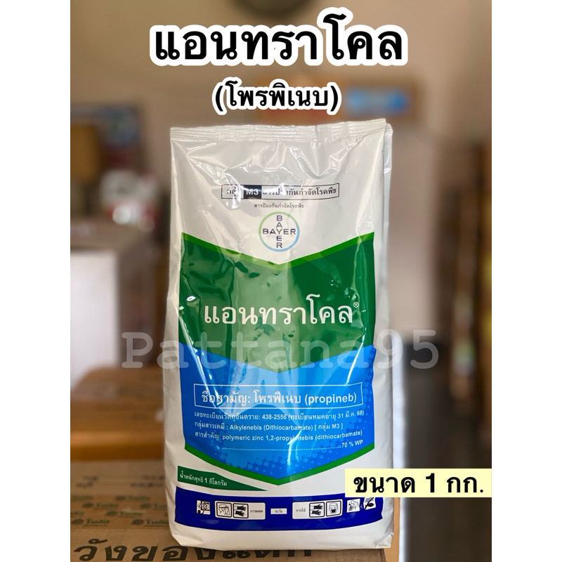 แอนทราโคล (โพรพิเนบ) *ขนาด 500 กรัม/ 1 กิโลกรัม. เสริมธาตุสังกะสี ป้องกันเชื้อรา ละลายนํ้าง่าย ไม่อุดตันหัวฉีด
