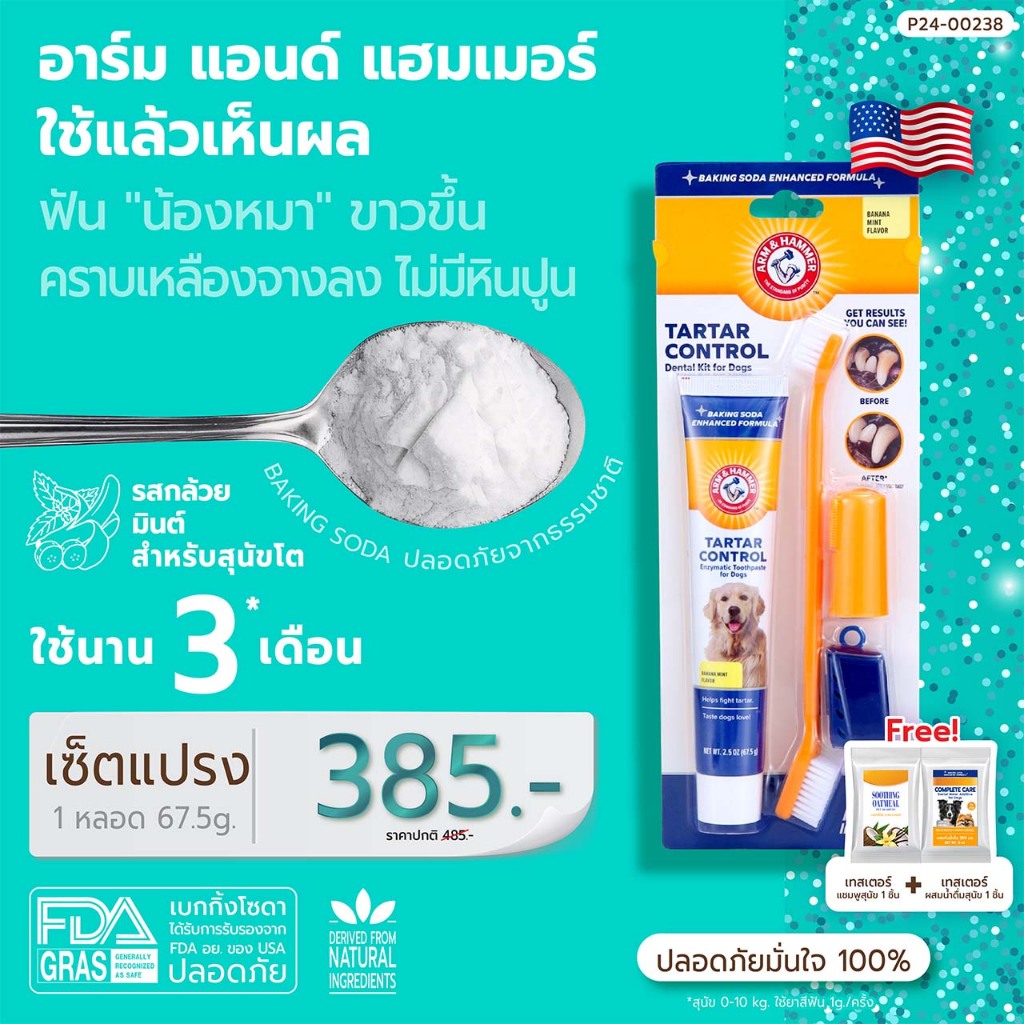Arm and Hammer TtC สุนัข ชุดยาสีฟัน กล้วยหอมมินต์ 2.5oz