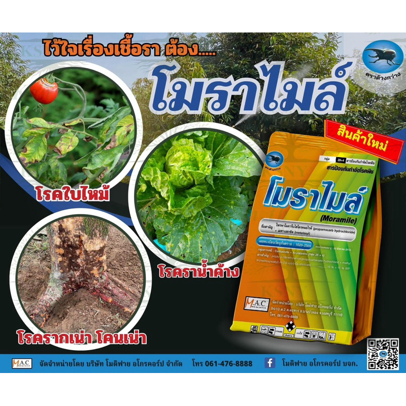 โมราไมล์ (โพพาโมคาร์บไฮโดรคลอไรด์ 10% + เมทาแลกซิล 15%WP) โรครากเน่า โคนเน่า โรคราน้ำค้าง