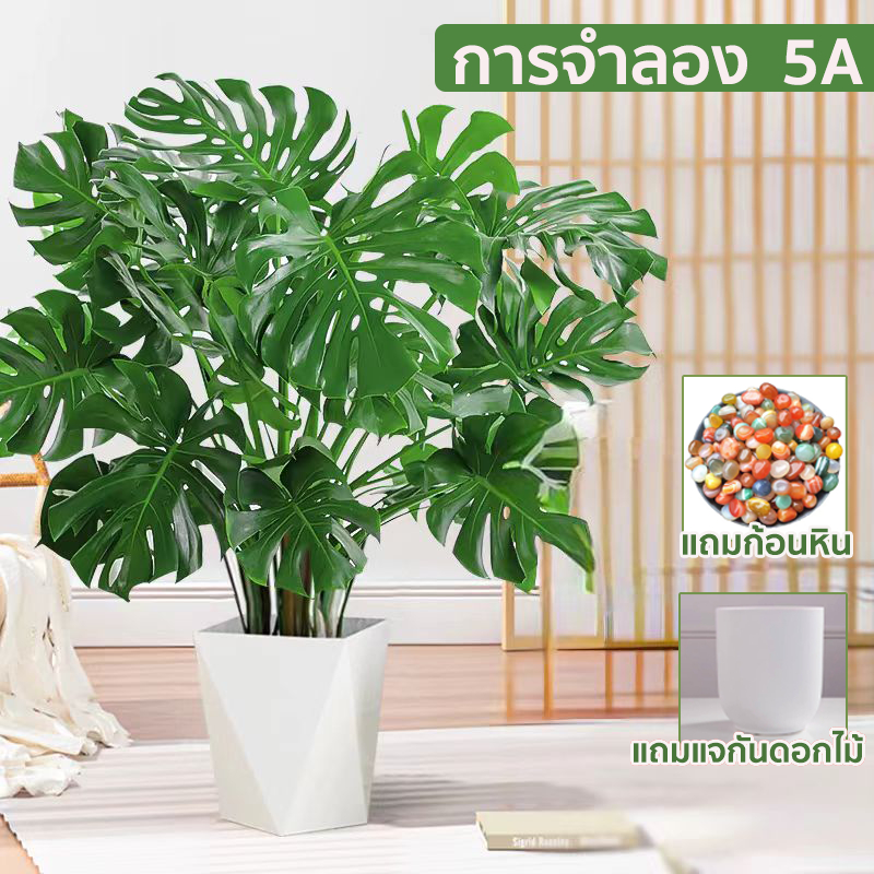 แถมฟรีหิน กระถาง ความจำลอง99% 85cm ต้นไม้ปลอม สไตล์นอร์ดิก ไร้กลิ่นแปลก ราคาถูกที่สุดสำหรับตกแต่งบ้านและสวน