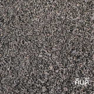 ส่งฟรี ‼️ | มูลไส้เดือน เลี้ยงด้วยปุ๋ยหมักคืนดี (Compost-Fed) = ธาตุอาหารครบ + จุลินทรีย์จากไส้เดือน