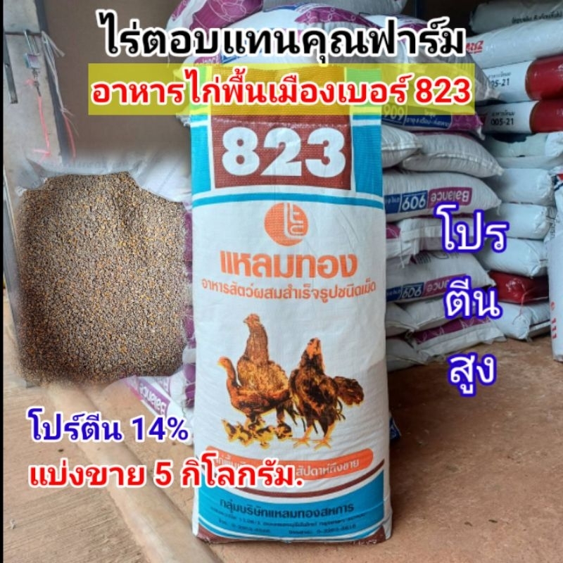 อาหารไก่แหลมทองเบอร์ 823 เหมาะสำหรับไก่พื้นเมือง อายุ 3 สัปดาห์ถึงขาย โปรตีน 14%  #ไร่ตอบแทนคุณการเก