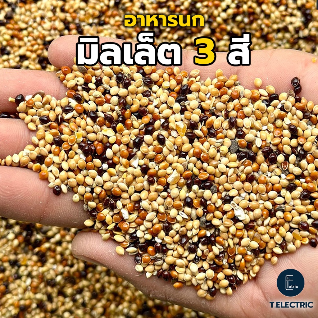 อาหารนก มิลเล็ตสามสี 900g. อาหารนกแก้ว ธัญพืชนก ขนมสำหรับนกเล็ก อาหารนกเขาเล็ก มิลเลต3สี นกเขาชวา