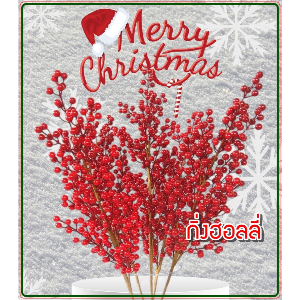 กิ่งฮอลลี่ ผลไม้สีแดง ลูกเบอรี่ สน คริสต์มาส งานรื่นเริง มงคล