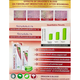 Burnova Gel Plus Dragon’s Blood 20g เบอร์โนว่า เจลลดรอยแผลเป็น รอยดำ รอยสิว ฟื้นฟูผิว