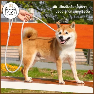 KUMAま สายจูงฝึกสุนัข Training leash เชือกไนลอน เชือกจูง สายจูงสัตว์เลี้ยง สายจูงสุนัข สายจูงหมา