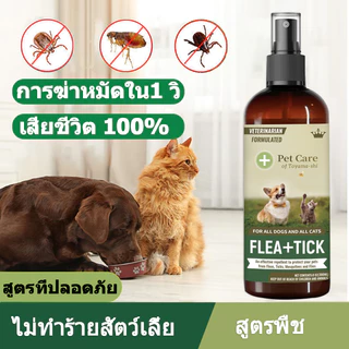 เสียชีวิต 100%  ยาฆ่าเห็บหมัด สเปรย์กำจัดเห็บ กำจัดเหาไรเห็บ หมัด การฆ่าหมัดใน1 วิ ไม่ทำร้ายสัตว์เลี้ย 300ml  ส่วนผสมจาก