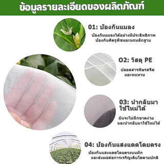 《จัดส่งฟรี》มุงขาวกันแมลง มุ้งขาว มุ้งขาวโรงเรือน 32ตา/40ตา/60ตา มุ้งกันแมลงผัก ตาข่ายกันแมลง มุ้งโรงเรือน กันแมลง มุ้งป