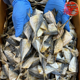 ‼ครึ่งกิโล‼ ปลากิมสั่วตัดหัว ตากแห้ง สดใหม อร่อย ปลาตากแห้ง …