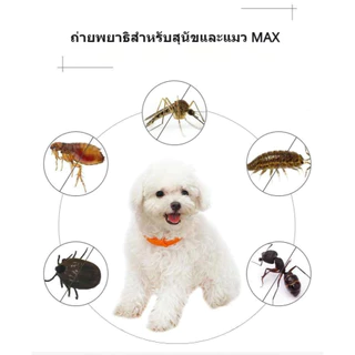 🐾 ปลอกคอกันเห็บหมัด 🐶🐱 สำหรับสุนัขและแมว 🐕🐈 ป้องกันยาวนานถึง 8 เดือน 🌟 ปลอดภัย ไร้กังวล 🎉