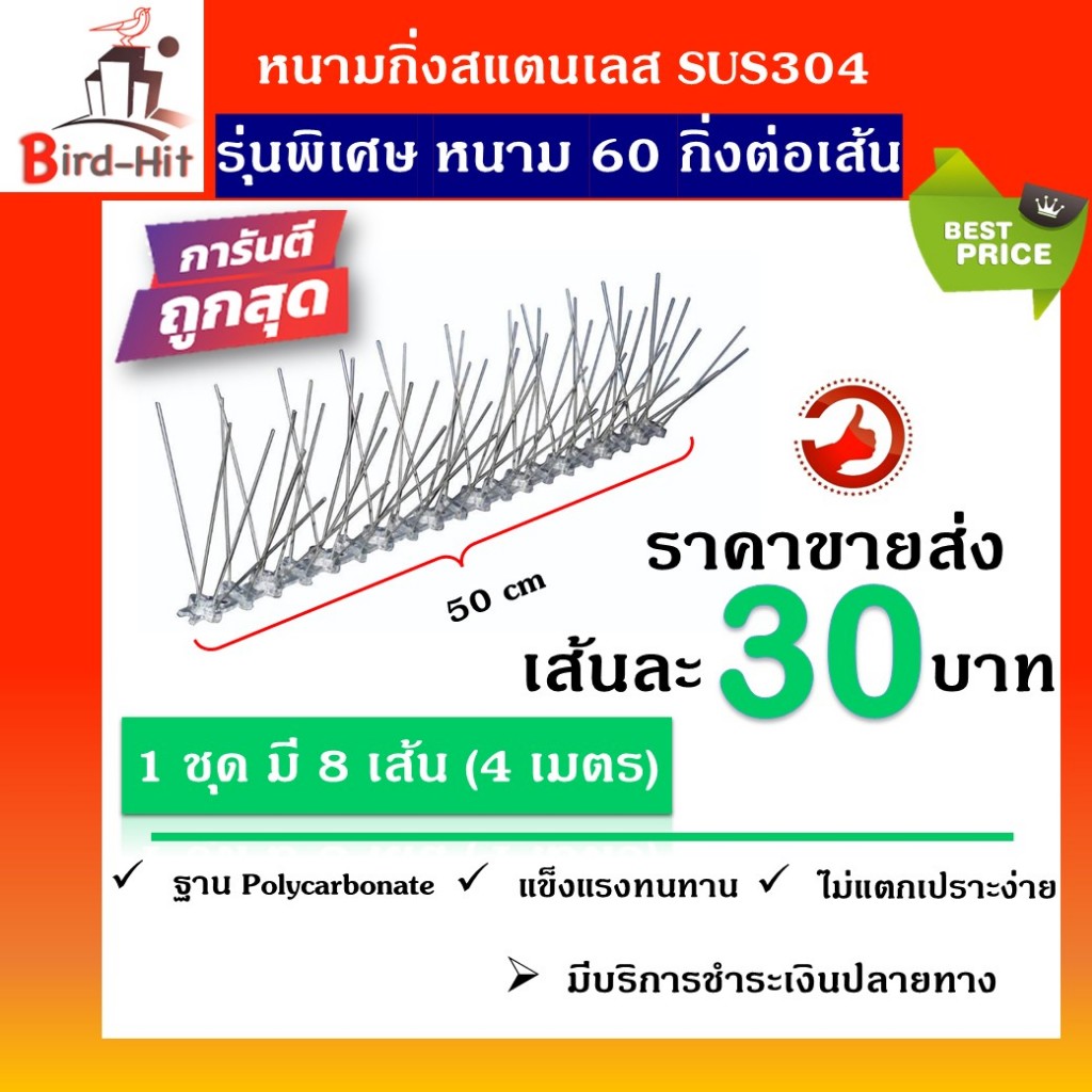 หนามกันนก​ หนามไล่นก​ ฐานโพลีคาร์บอเนต​ ​กิ่งสแตนเลส​ รุ่นพิเศษหนาม​ 60 กิ่งต่อ​เส้น​ จำนวน​ 8​ เส้น