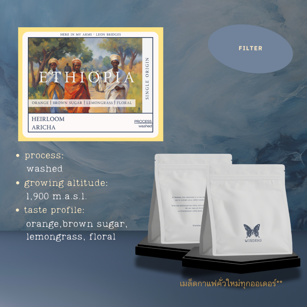 Wonders Roaster | เมล็ดกาแฟ Ethiopia Aricha Guji [200g.100g] กาแฟ คั่วอ่อน เอธิโอเปีย