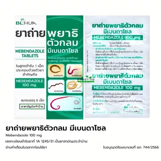 ยาถ่ายพยาธิตัวกลม Mebendazole 100mg. ยาถ่ายพยาธิ แผงละ 6 เม็ด