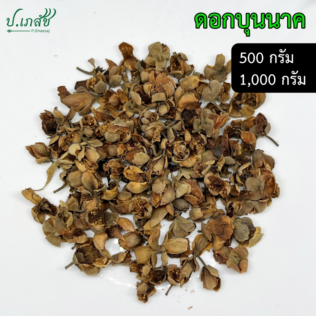 ดอกบุนนาค [500 กรัม / 1 กิโล] บุนนาค