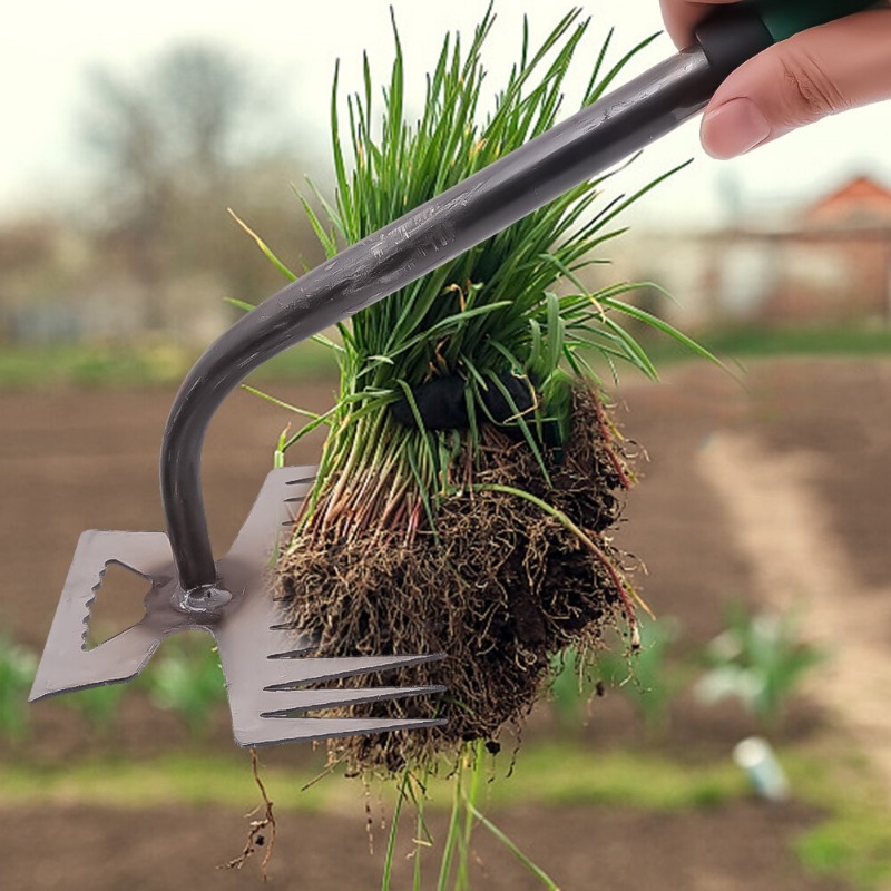 คราด จอบ คราดหญ้า คราดเหล็ก คราด คราดถอนหญ้า คราดมีด้าม คาดหญ้าเหล็ก คราดถากหญ้า ฟันถากหญ้า - รูปที่ 7