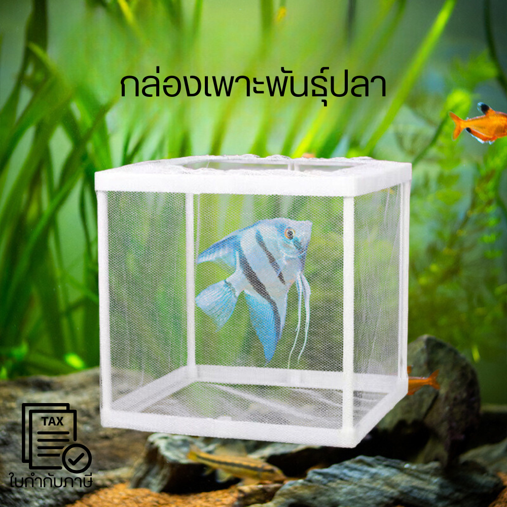 กล่องตาข่ายแยกทอดปลากล่องพักปลาตู้ฟักไข่ทอดปลากล่องพักปลาตู้ฟักไข่ปลาขุดกล่องเพาะพันธุ์สัตว์น้ําขนาดเล็กทนทานฟังก์ชั่นครบ