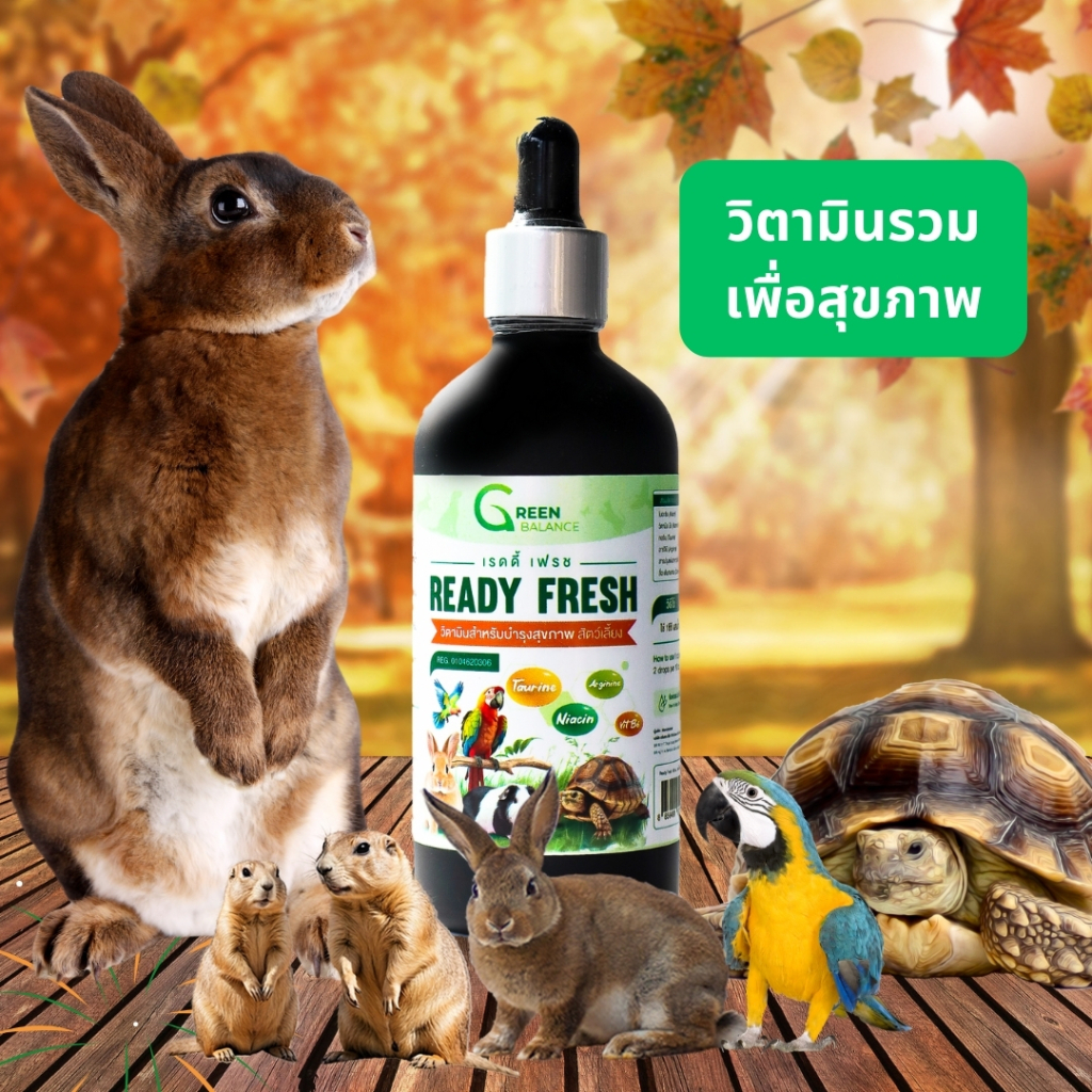 เรดดี้เฟรช Ready Fresh วิตามินสำหรับสัตว์เลี้ยงลดความเครียดช่วยฟื้นตัวหลังป่วย 100 มิลล