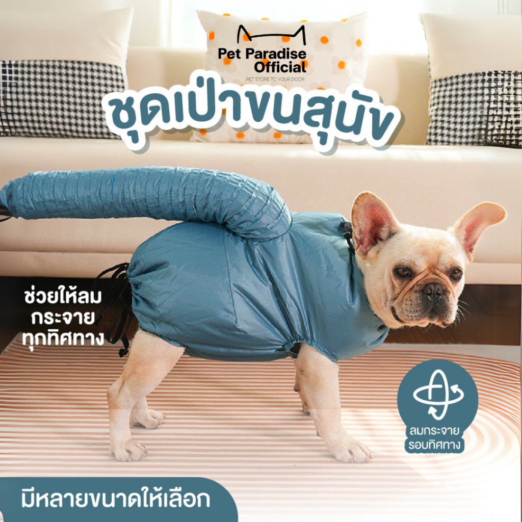 🌈PetParadise.th✨Pet drying Bag ถุงเป่าลมอุ่นสำหรับสุนัข ชุดเป่าแห้ง ถุงเป่าขนสัตว์เลี้ยง