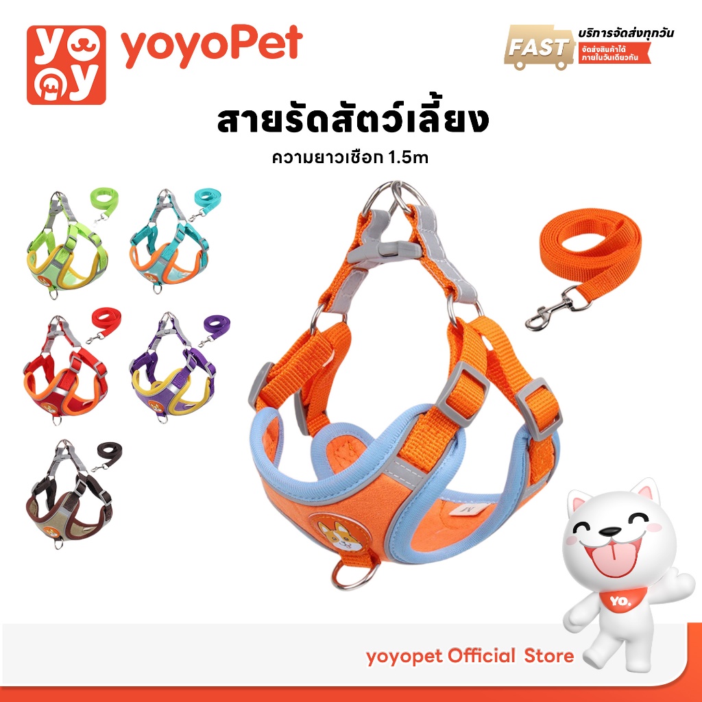 yoyopet : สายจูงสัตว์เลี้ยง สายรัดหมา แมว แข็งแรง คุณภาพดี ปลอดภัย สะท้อนแสง มีหลายขนาดให้เลือก