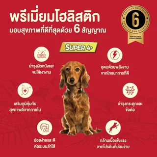 เคลลี่แอนด์โค อาหารสุนัขเกรนฟรีเคลือบฟรีซดราย รอว์มิกซ์ 2.72 กก ไม่มีธัญพืชและสัตว์ปีก ลดอาการแพ้
