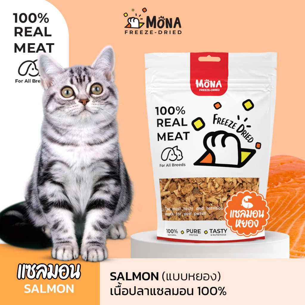 เนื้อปลาแซลมอน-หยอง MoNa - Freed Dried ขนมแมว ขนมสุนัข ทำจากเนื้อปลาแซลมอน