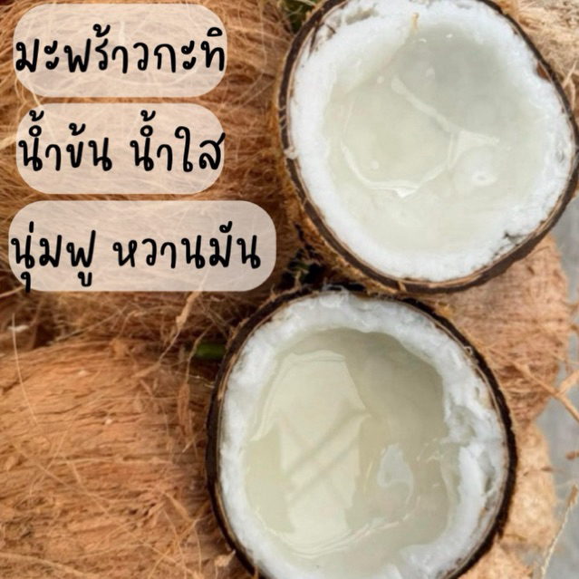 [พร้อมส่ง] มะพร้าวกะทิ เนื้อฟู เนื้อฉ่ำๆไม่ใช่กะทิเคลมฟรี ส่งจากสวนอัมพวา