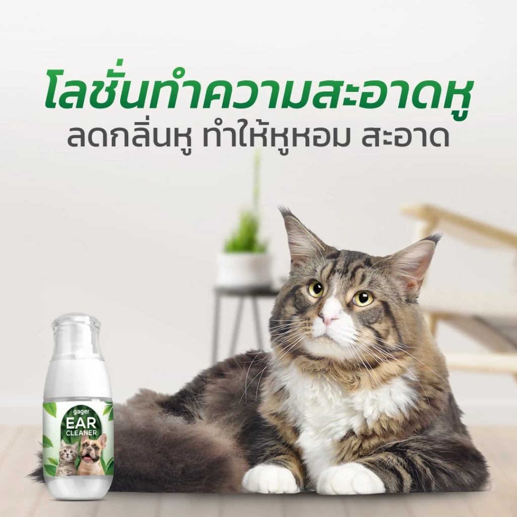 Gager (กาเจอร์) โลชั่นเช็ดหูแมว โลชั่นเช็ดหูหมา โลชั่นทำความสะอาดหู ช่วยลดกลิ่น ใช้ได้ทั้งแมวและหมา (50ml.)