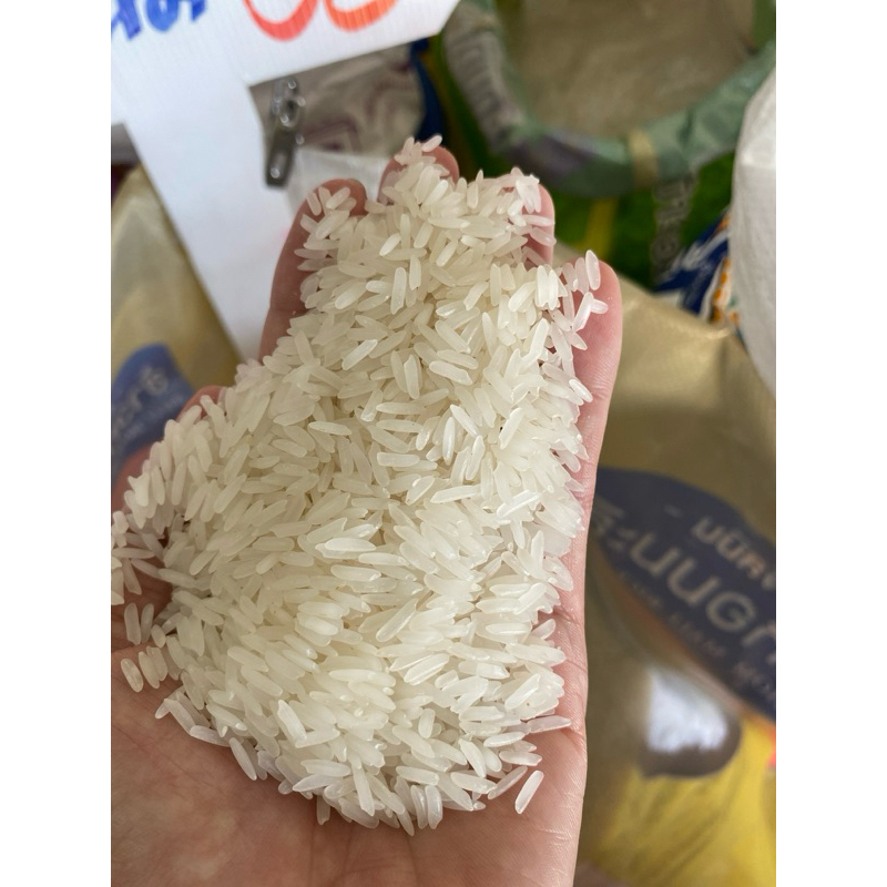 ข้าวหอมมะลิ105ใหม่ล่าสุด