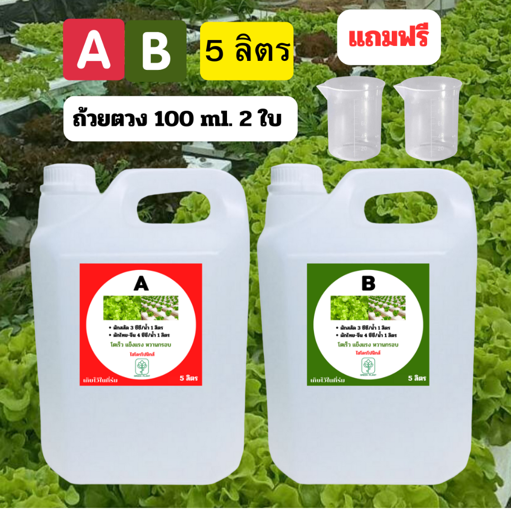 ปุ๋ยAB 5 ลิตร แถมฟรี ถ้วยตวง 2 ใบ (A 5 ลิตร + B 5 ลิตร) ปลูกผักสลัด ไฮโดรโปนิกส์ ปุ๋ยเอบีขวดใหญ่ เหมาะสำหรับมืออาชีพ
