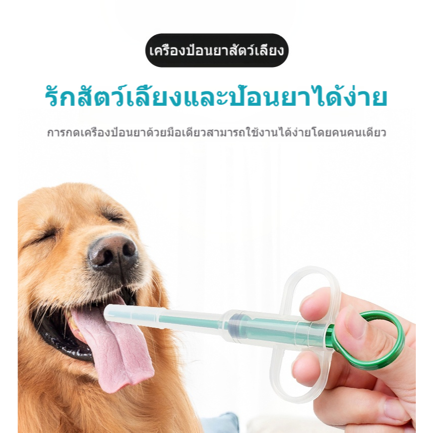 🐾 เครื่องให้อาหารสัตว์เลี้ยง | ป้อนยาแมว 🐱 ป้อนยาสุนัข 🐶 ป้อนนม 🍼 ป้อนน้ำ 💧 Feeders