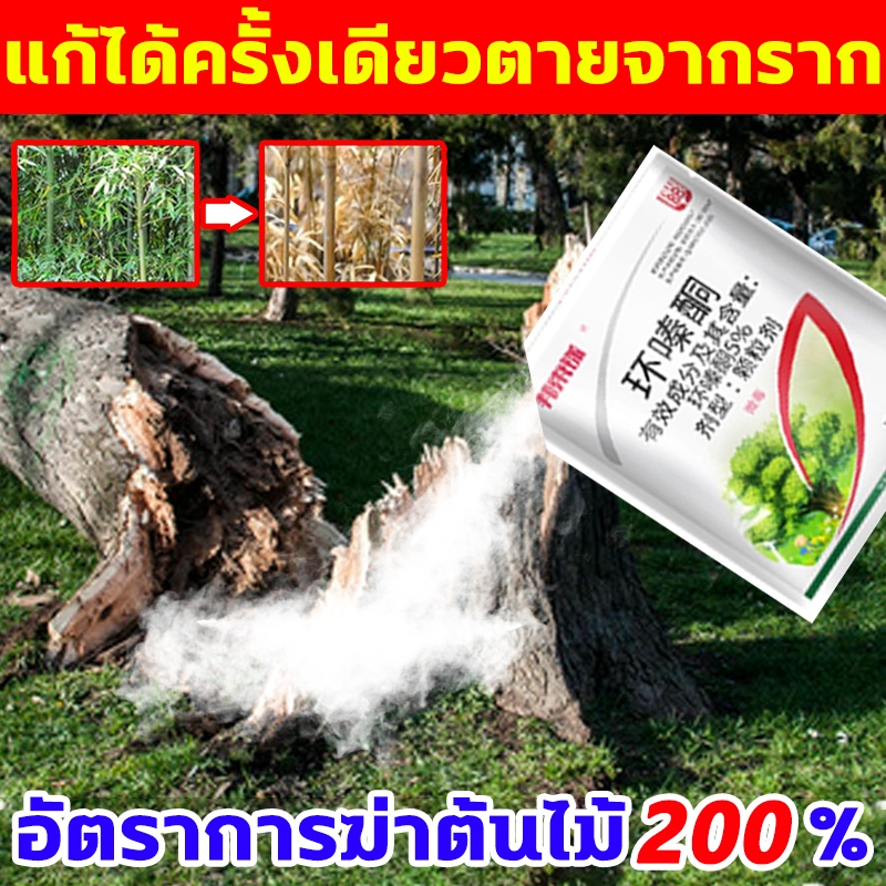 ต้นไม้ใหญ่ตายจากราก ยาฆ่าตอไม้ 500g ยาฆ่าต้นไม้ ไม่ทำร้ายดิน ยากำจัดต้นไม้ แค่โรยเพียงเล็กน้อย ยาฆ่าต้นไม้ใหญ่