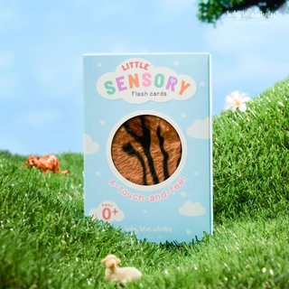 Baby Blue Whales Little Sensory Flashcards (แฟลชการ์ดขนสัตว์ กระตุ้นพัฒนาการ)