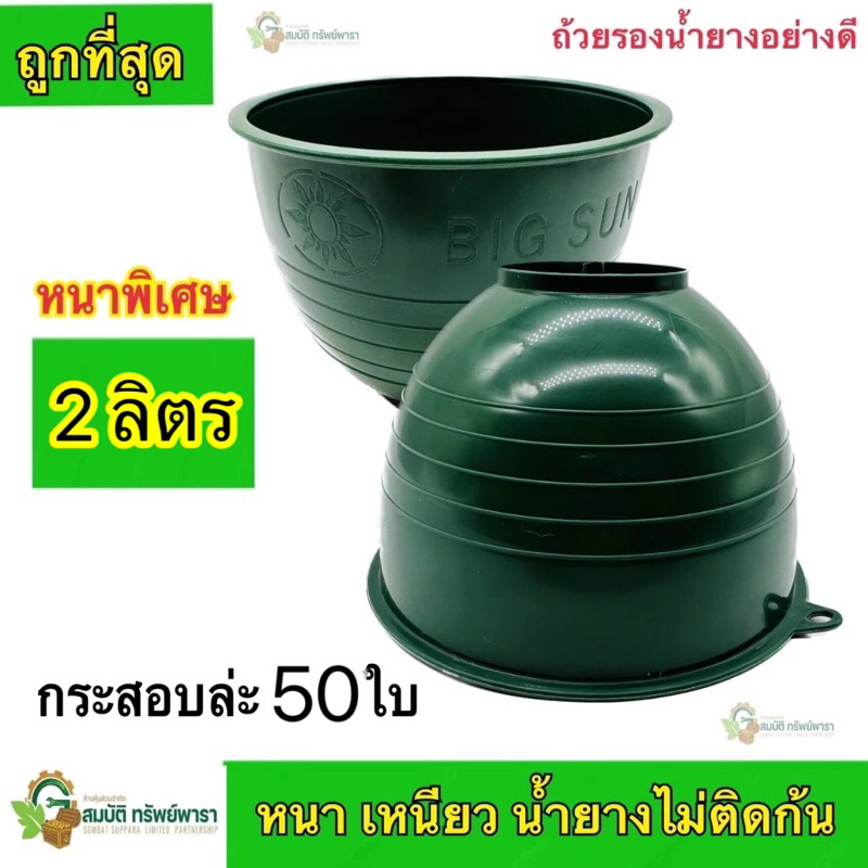 (แพ็ค50ใบ) ถ้วยรองน้ำยางพารา ขนาด2000cc 2ลิตร อย่างดี หนา เหนียวพิเศษ ปลีก-ส่ง ถ้วยยาง ราคาโรงงาน